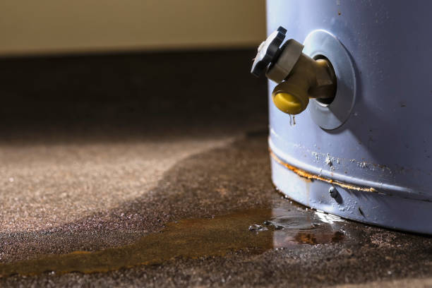  Briar Chapel, NC Water damage restoration Pros