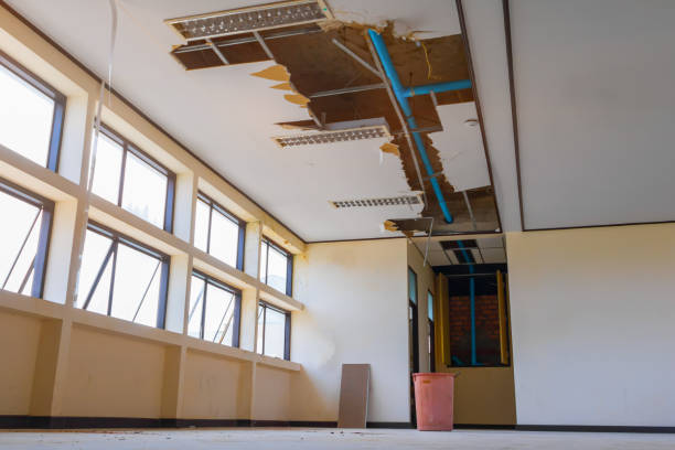 Best Mold removal after water damage  in Briar Chapel, NC
