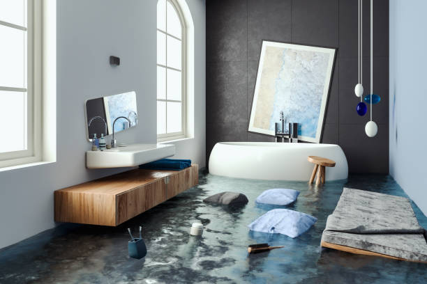 Best Carpet water damage restoration  in Briar Chapel, NC