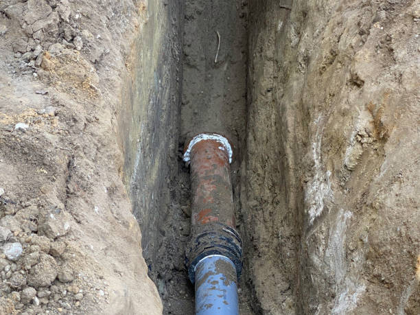 Best Flood restoration services  in Briar Chapel, NC