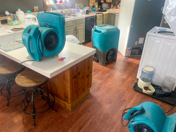 Best Flood damage cleanup  in Briar Chapel, NC