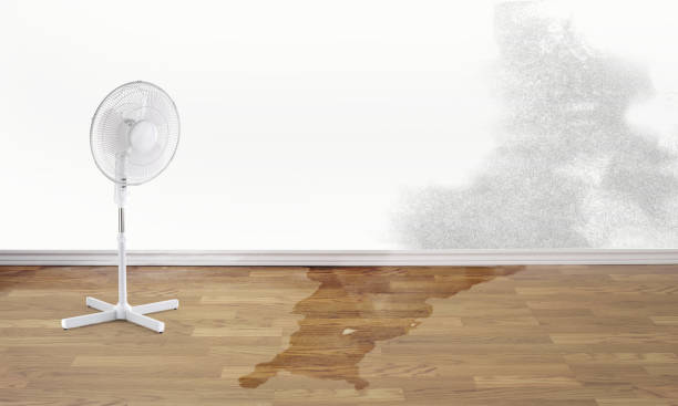 Best Water damage restoration near me  in Briar Chapel, NC