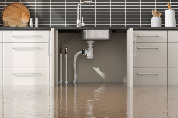 Best 24/7 water damage repair  in Briar Chapel, NC