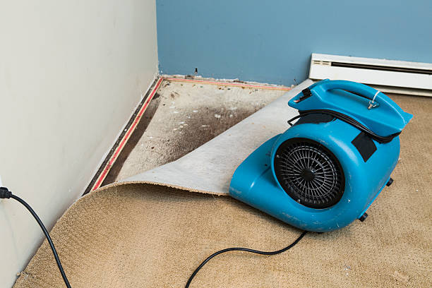 Best Local water damage restoration  in Briar Chapel, NC